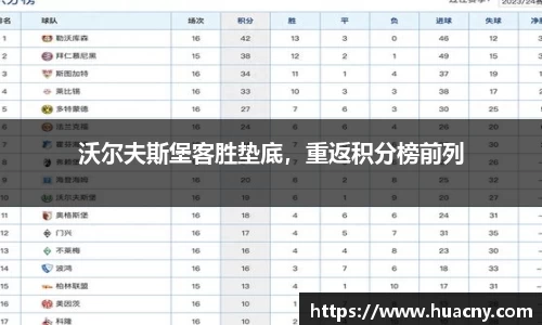 中欧体育
