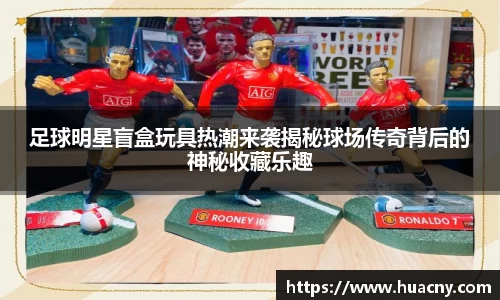 中欧体育