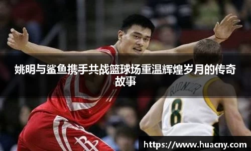 中欧体育