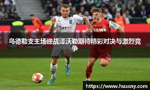 中欧体育官方网站