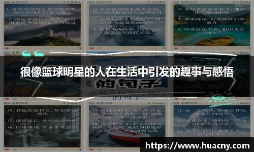 zoty中欧有限公司